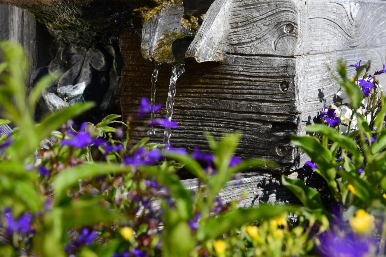 Landhotel Jungbrunnen Bad Brambach Extérieur photo